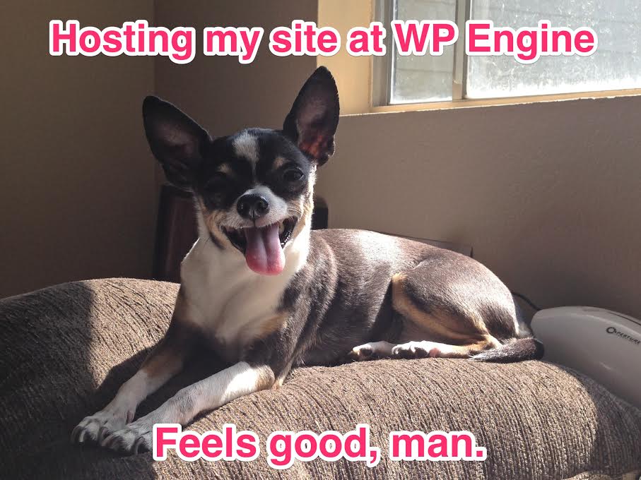 Pets of WP Engine: Rowdy Cosper