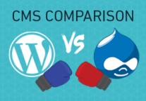 CMS Comparison: WordPress Vs. Drupal [Infographic]