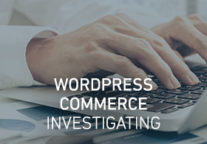 WordPress Commerce: The Plugin and Theme Economy [Ebook]