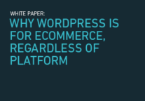 WordPress Ecommerce - Why WordPress is for Ecommerce regardless of platform