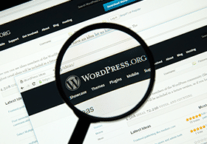 10 Ways To Extend WordPress Beyond Blogging