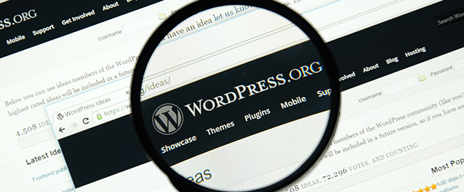 10 Ways To Extend WordPress Beyond Blogging