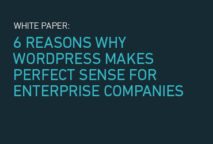 6 Reasons Why WordPress Makes Perfect Sense for Enterprise Companies