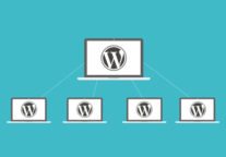 5 Examples Of Brands Using WordPress Multisite Today