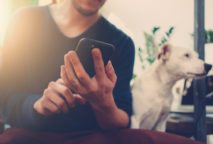 Using AMP in WordPress